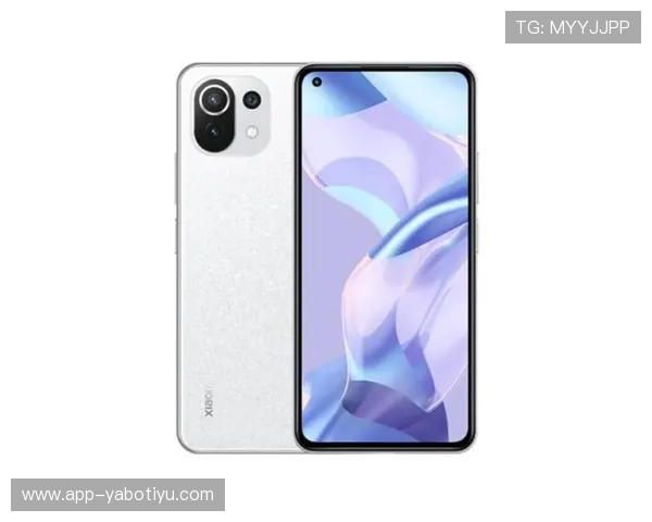 亚搏app官方地址官方入口安全验证与账号保护措施介绍